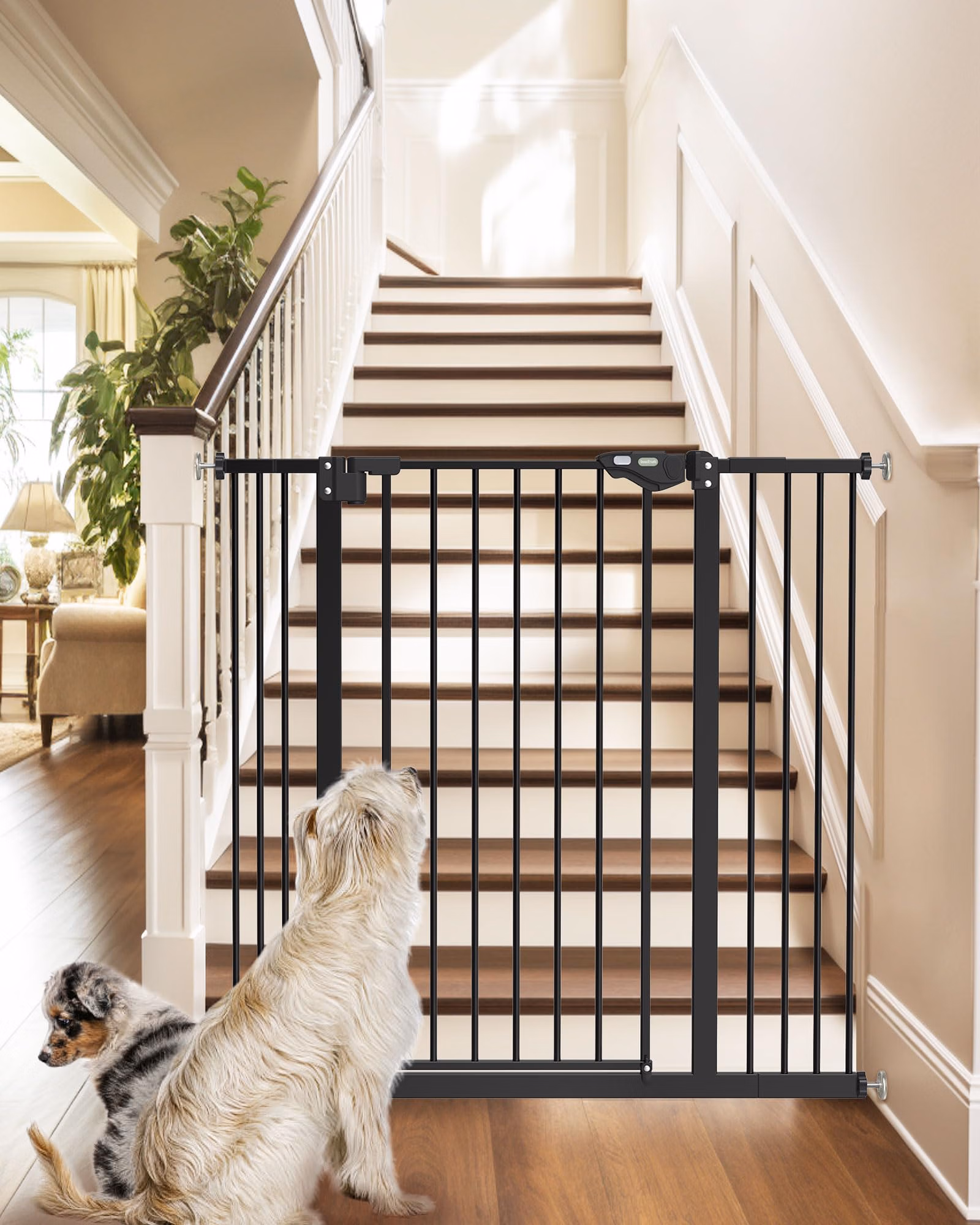 InnoTruth 36" Tall Baby Gate for Dogs VC1913 Black - Auction listing