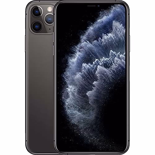 Apple iPhone 11 Pro Max 256GB Unlocked Space Gray - Auction listing
