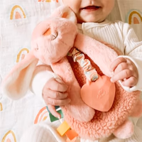 Itzy Ritzy - Itzy Lovey Including Teether - Baby Lovey with Teether, Textured Ribbons & Dangle Arms - Features Crinkle Sound, Sherpa Fabric and Minky Plush (Pink Bunny) thumbnail 2