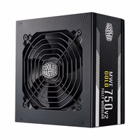 Cooler Master MWE Gold 750 V2 Fully Modular Power Supply – 750W 80+ Gold Certified PSU, Dual EPS Connectors, Semi-Fanless Low Noise Design, Flat Black Cables, Reliable ATX Gaming PSU, 5-Year Warranty thumbnail 1