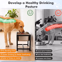 Elevated Dog Bowl, 2.4 Gallon Adjustable Stainless Steel Water Bowl for Large Breed, Dog Water Feeder, Pet Feeder with Full Metal Stand for Relief Joint Pressure, Easy Clean, Indoor Outdoor Use thumbnail 4