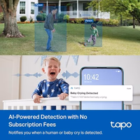 Tapo 1080p Indoor/Outdoor Security Camera - Free Person/Motion/Baby Cry Detection, Color Night Vision, IP65 Weatherproof, SD/Cloud Storage, Works w/Alexa & Google Home HybridCam thumbnail 3