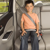 Cosco Topside Backless Booster Car Seat, Lightweight Booster Seats for Cars 40-100 lbs, Backless Booster Seat for Car, Leo thumbnail 2