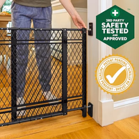 Ingenuity Doorway 42W Series Dog and Baby Gate, Indoor Outdoor, Won't Rust or Fade, Plastic Panel, Fits 23-42" Openings, 24” Tall thumbnail 2